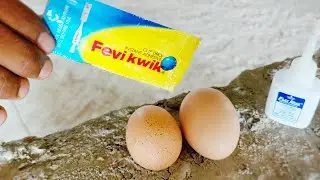 🥚EGG V/S FEVIQUICK - अंडा के अंदर feviquick डाल दिया जाए तो क्या होगा ?🤔