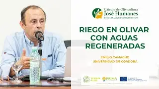 Conferencia 