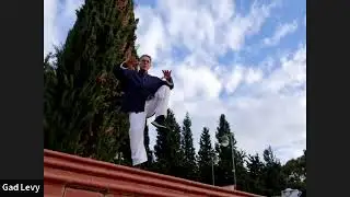 Find your Center. Equinimity in Motion with Master Gadi Levy Golan
