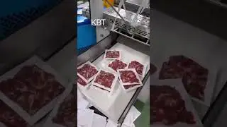 Meat sausage bacon food automatic vacuum packaging machine #food packaging machine