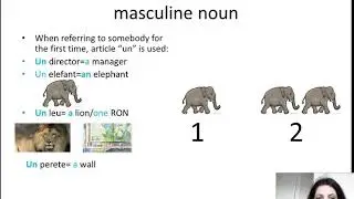 Romanian Step by Step with Laura lesson 10: Genders in the Romanian nouns