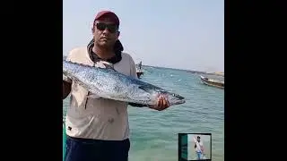 surmahi fish
