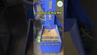 Commercial Rice Mill 450-600kg/ hour | Western Agriculture Machinery | Zhengzhou, China #ricemill