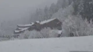 Winter Tranquility | Snowfall at a Cabin in the Woods with Calm Ambient Music🌲❄️