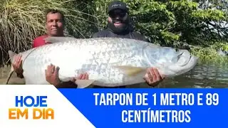 'Bombou nas Redes': Pescador bate recorde nacional e captura peixe de quase dois metros