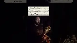 #lick #lickoftheweek #lickoftheday #pit #pitorchestra #musical  #musician #sax #bari #baritone
