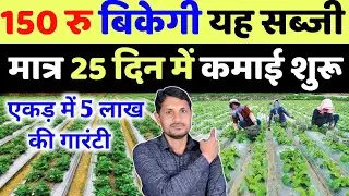 पूरे साल 150 रु किलो बिकती है यह सब्जी 1 एकड़ से 5 लाख कमाई होगी | kakoda ki kheti kaise karen