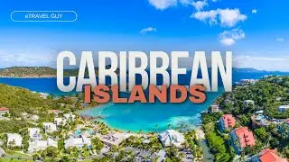 Dive into Paradise: A New Traveler's Guide to the Caribbean Sea