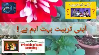 The Principle of Good Parenting !