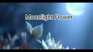 Michael Cretu - Moonlight Flower