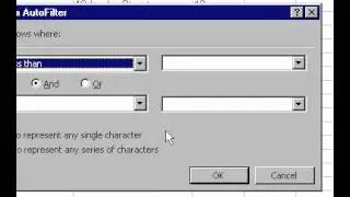 Microsoft Office Excel 2000 Custom Filter