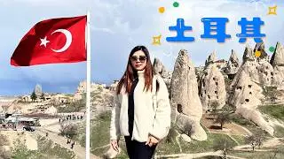 20250401 土耳其擼貓之旅