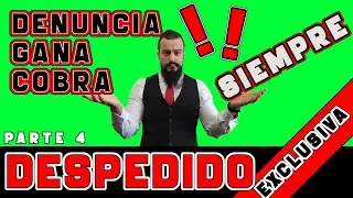 GUÍA de DESPIDOS PARTE 4: DEMANDAR✍️por DESPIDO IMPROCEDENTE| UN TIO LEGAL
