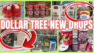 Dollar Tree NEW DROPS Just Hit 🚨 $1.25 - $1.50 Finds You Need!