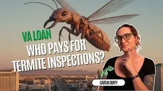 Who Pays For A Termite Inspection with a VA Loan?