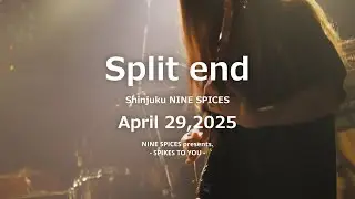 [Agp Studio] Split end on April 29,2025