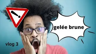 Gel&eacute;e brune , salarias le relou , des nouveaux coraux ! Vlog recifal 3