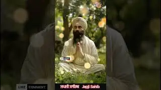 Japji Sahib fast l 229 l #japjisahibfast #japjisahib #japjisahibpath #nitnem #motivation #pritpaltv