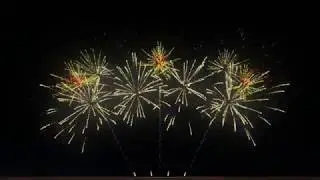 FWsim show - Samsara - 2019 version