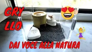 🔴 GRYLLO KIT 🔴BY SMART BUGS 🔝 , ALLEVARE GRILLI CANTERINI IN CASA ORA E' SEMPLICE E DIVERTENTE❗🌾