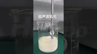 Ultrasonic Homogenizer Sonicator Processor Cell Disruptor Emulsification and Nanoparticle Dispersion
