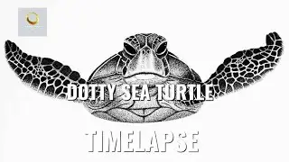 Sea Turtle timelapse