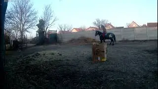 Horse archery fast 6 arrow shooting