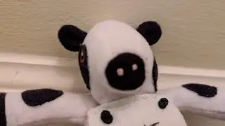 The Polar Bear Crew! S7 E1: The Spidery Crew!