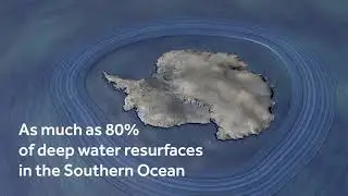 Antarctic upwelling