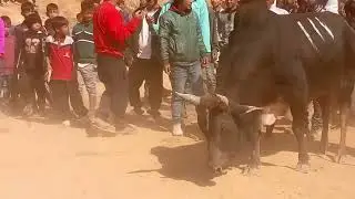 Saw thang bahnah horn VS. Thoh bahdeng plik.// Mawryngkneng // 3minute,cover u thoh.