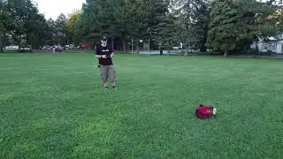technodrone