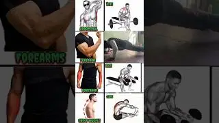 Full Body Workout || 💪 #chestworkout #shoulderday #hipfix #forearms #abs