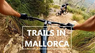 Esporles - Mallorca - MTB Trail 2023