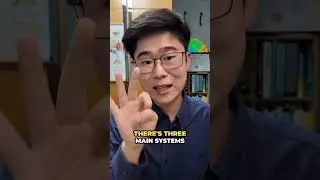 🧠 I found the missing link behind brain fog, ADHD-like symptoms, dizziness, and &ldquo;dysregulated&rdquo;