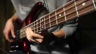Snarky puppy, Metropole orkest - The curtain (Bass Cover)