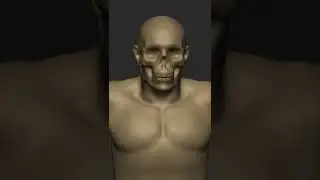 Male model with skull #digitalsculpture #anatomy