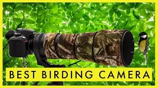 Best Birding Camera in 2021