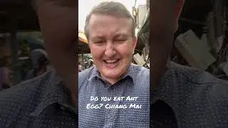 Do you eat Ant egg? Chiang Mai Thailand | Chiang Mai Food Vlog |