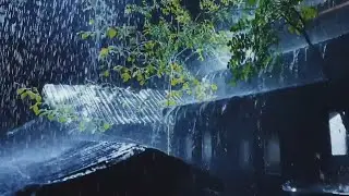 Surrender to the Storm | Heavy Rain & Thunder for Deep Sleep ⛈️⛈️