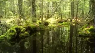 Определение весенних водоёмов в районе озера Мусхед