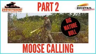MOOSE CALLING (BIG MATURE BULLS) - Part 2 : 2018