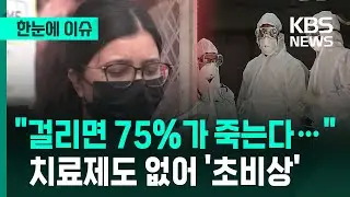 [한눈에 이슈] 
