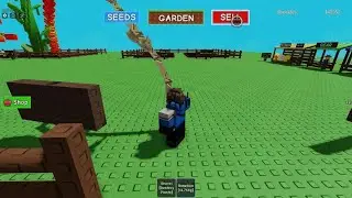 Selling boneboo plant