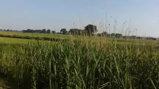 Wadeling langs de regen