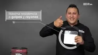 Behr Ultra &ndash; Cl&iacute;nica golpe​