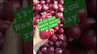 13-02-2026 Nashik Onion Rate Today | Green Source | कांदा बाजार भाव | आज के  नाशिक प्याज भाव