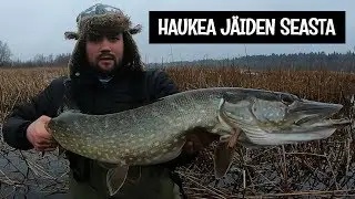 SYYSHAUKEA MERELT&Auml;