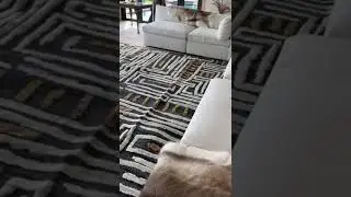 Large Rug | Oversize rug | Livingroom Rug | Handmade Rug | Rug Installation