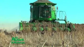 AGam in Kansas - Double Crop Sunflowers - December 10, 2015