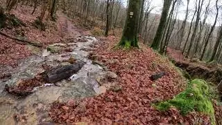 Morning walk in Nature Reserve Schnellert with large rocks in Luxembourg&acute;s Little Switzerland Part 1